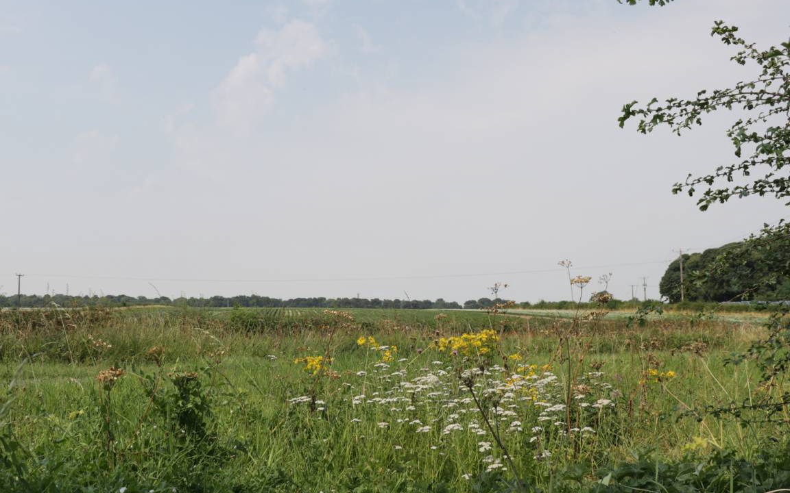 Photo of Others in North Dalton