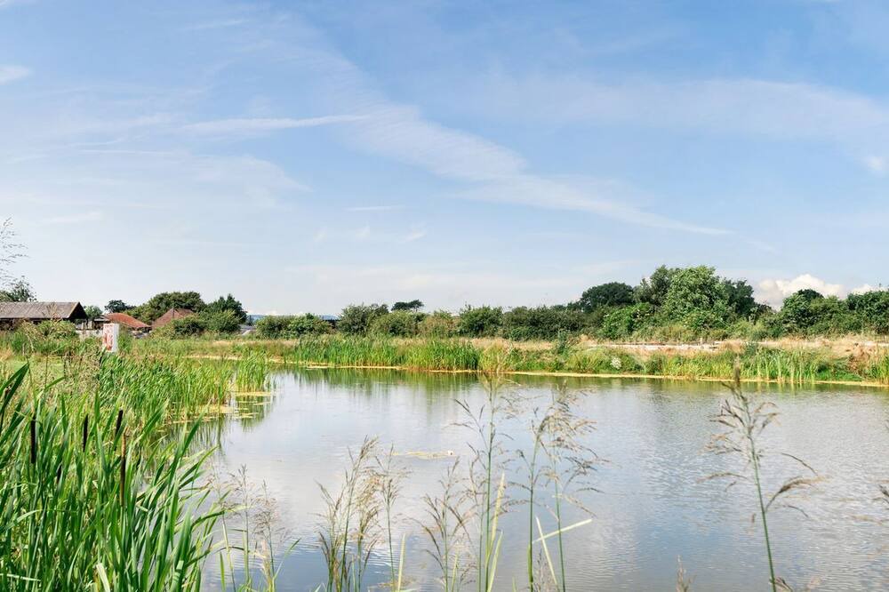Photo of Outdoor in Helsey