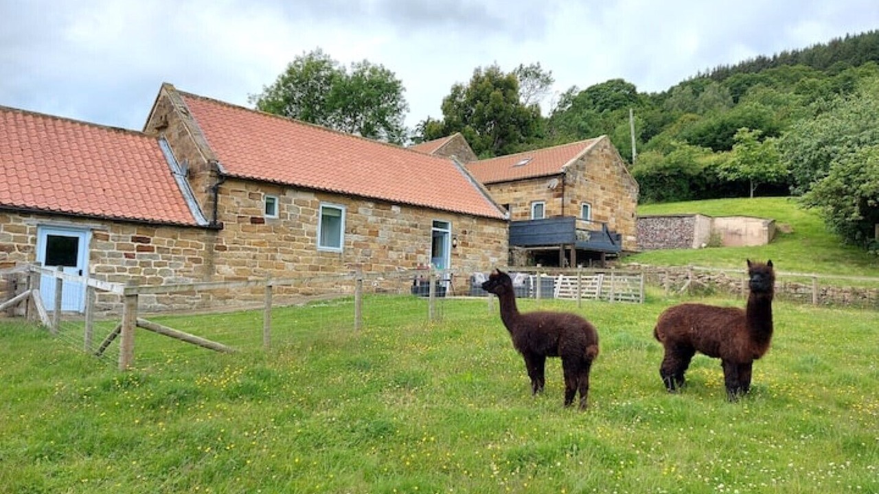 Photo of Outdoor in Egton