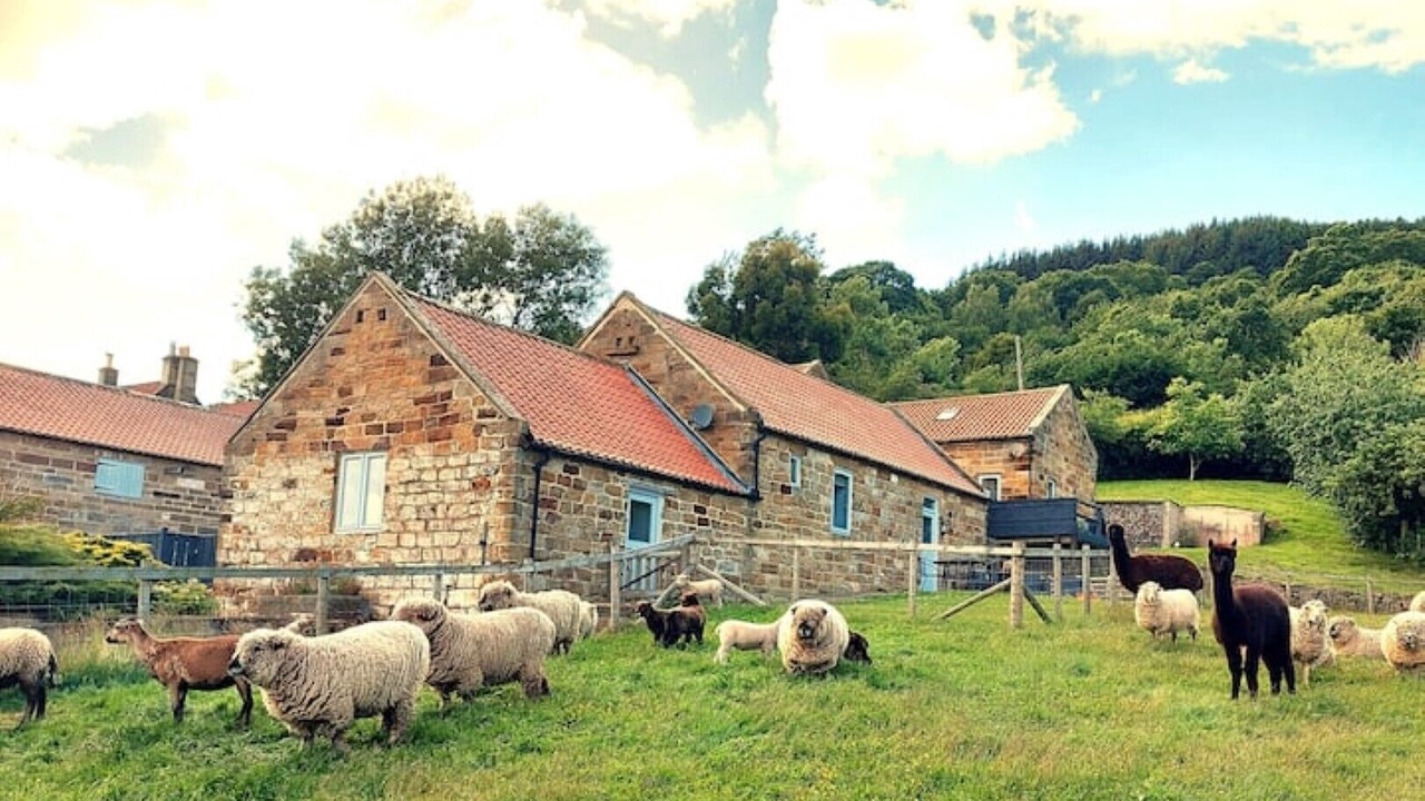 Photo of Outdoor in Egton