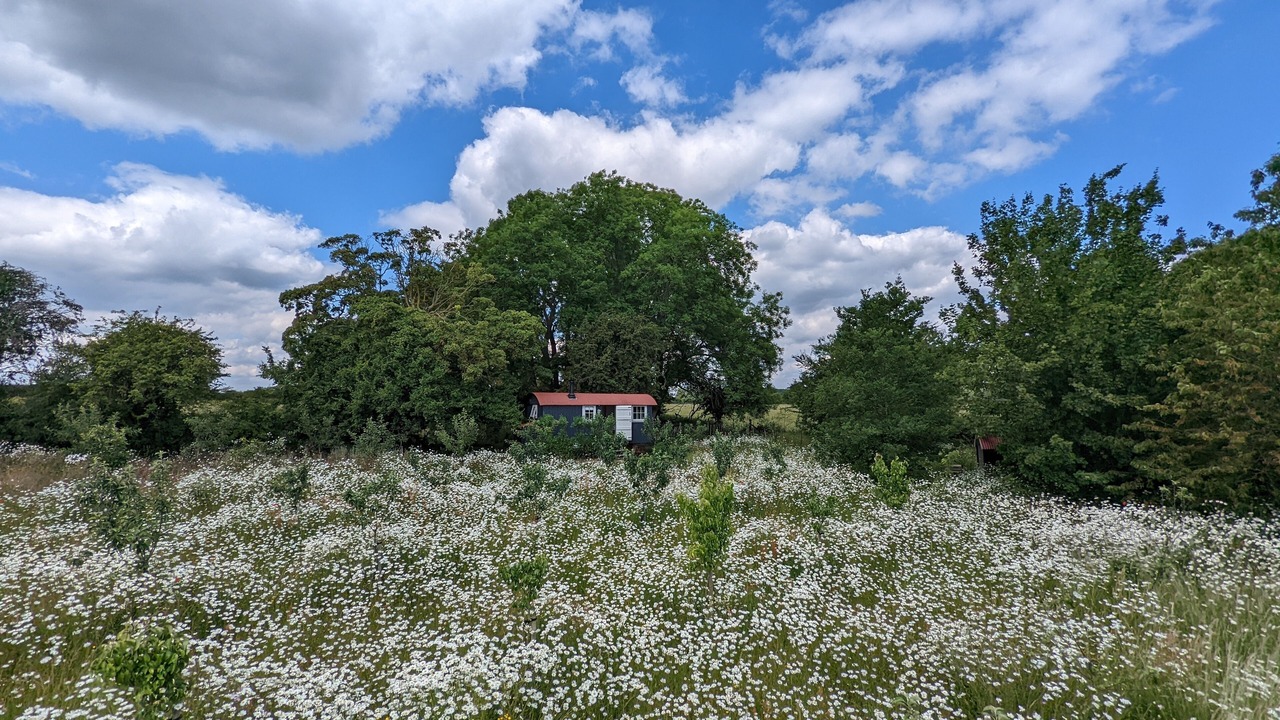 Photo of Outdoor in Stamford