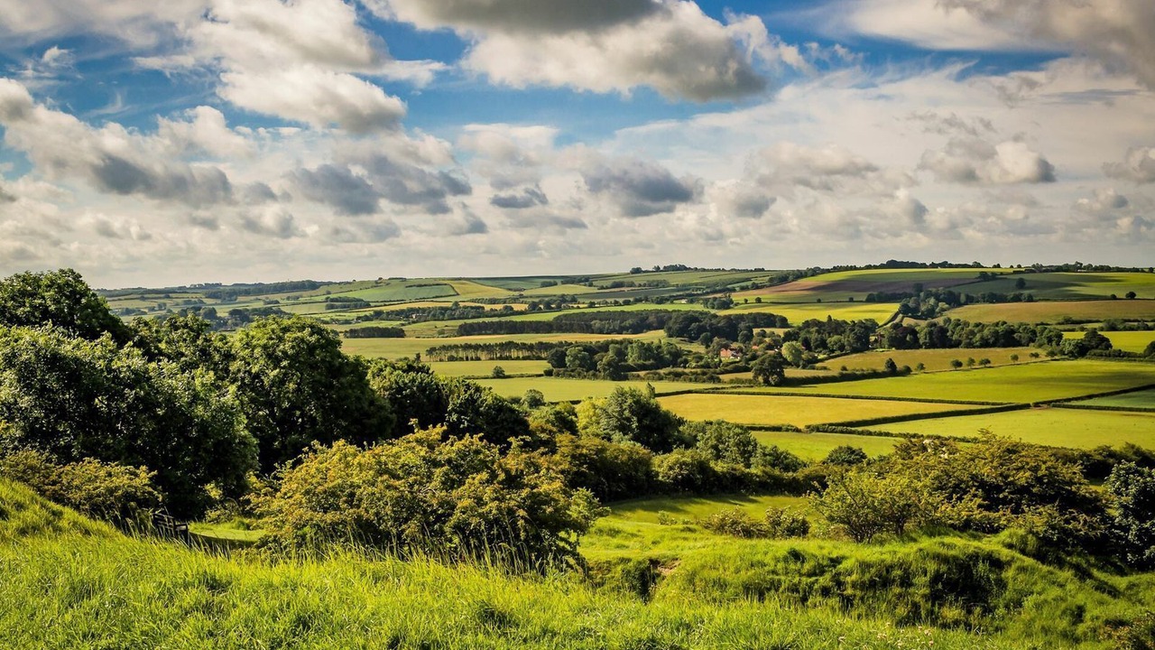Photo of Outdoor in Alford