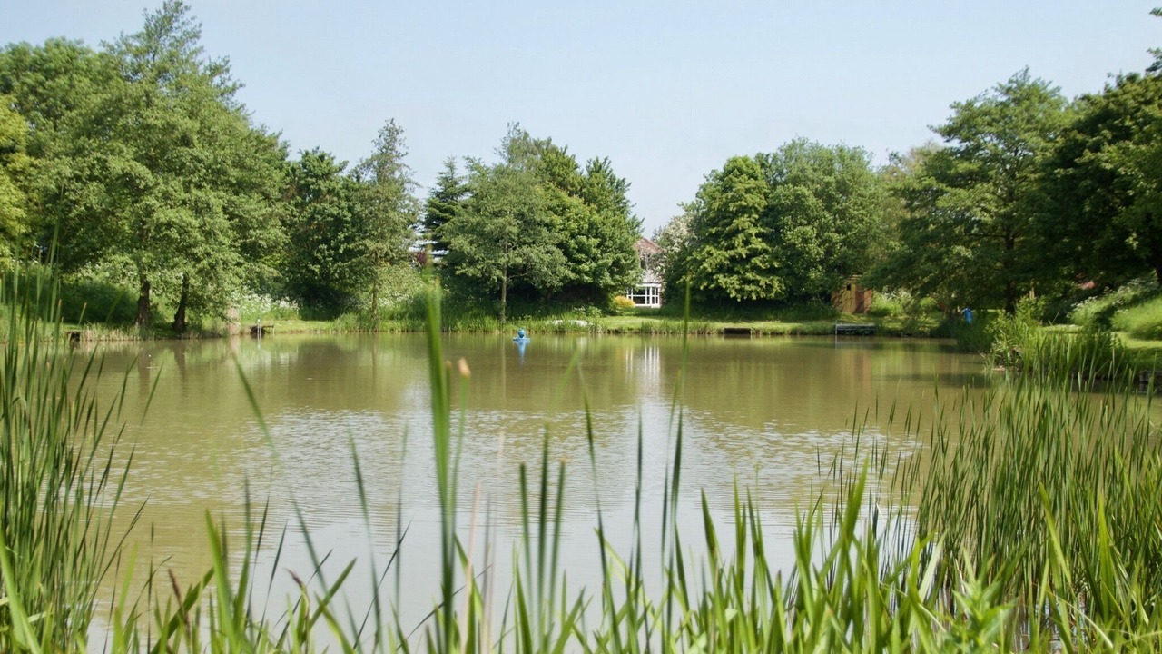 Photo of Others in Burgh le Marsh