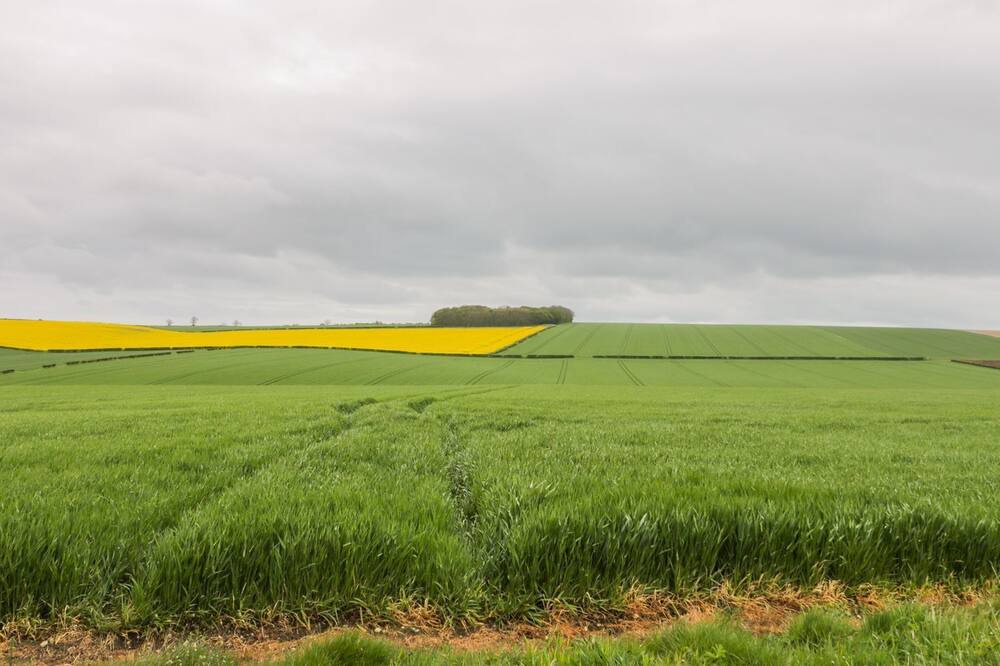 Photo of Others in Cranswick