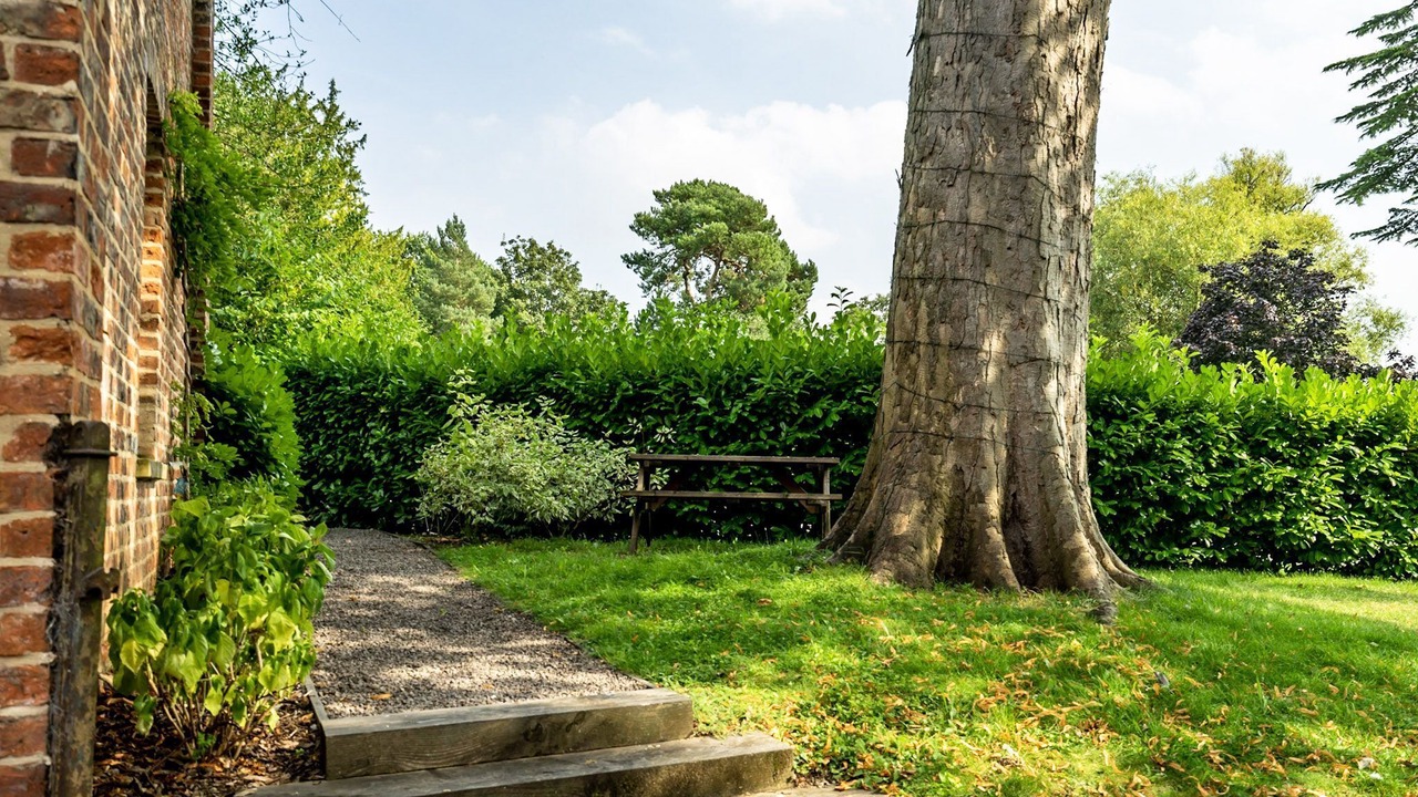 Photo of Outdoor in York