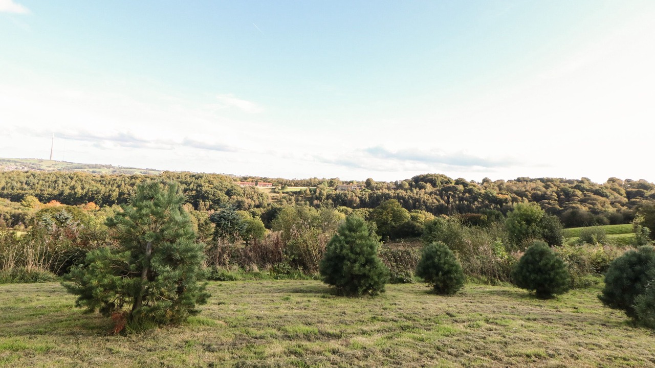 Photo of Outdoor in Honley