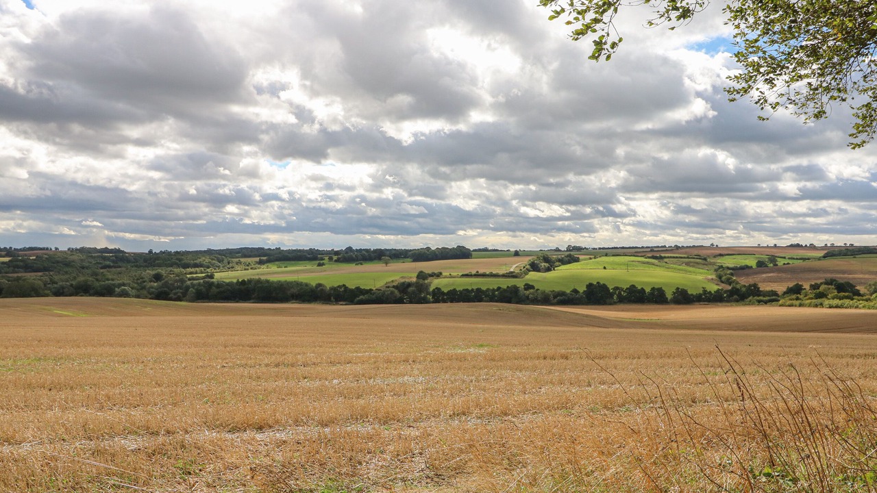 Photo of Others in Wymondham