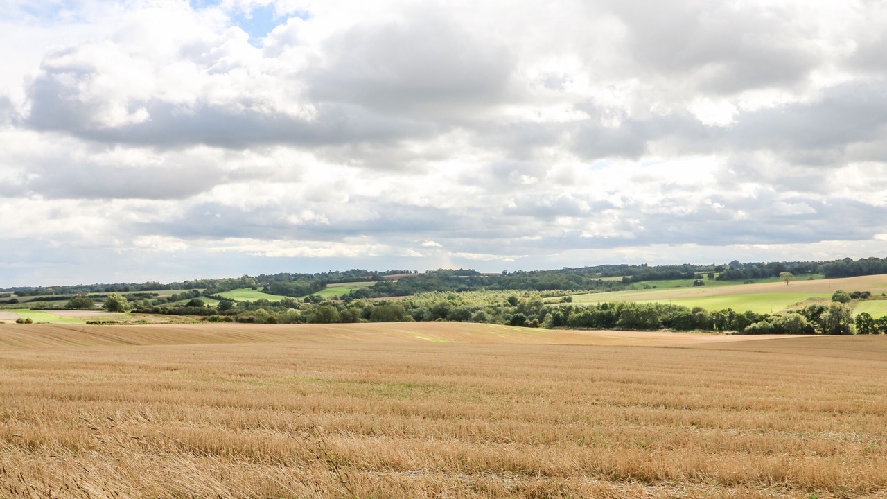 Photo of Others in Alford