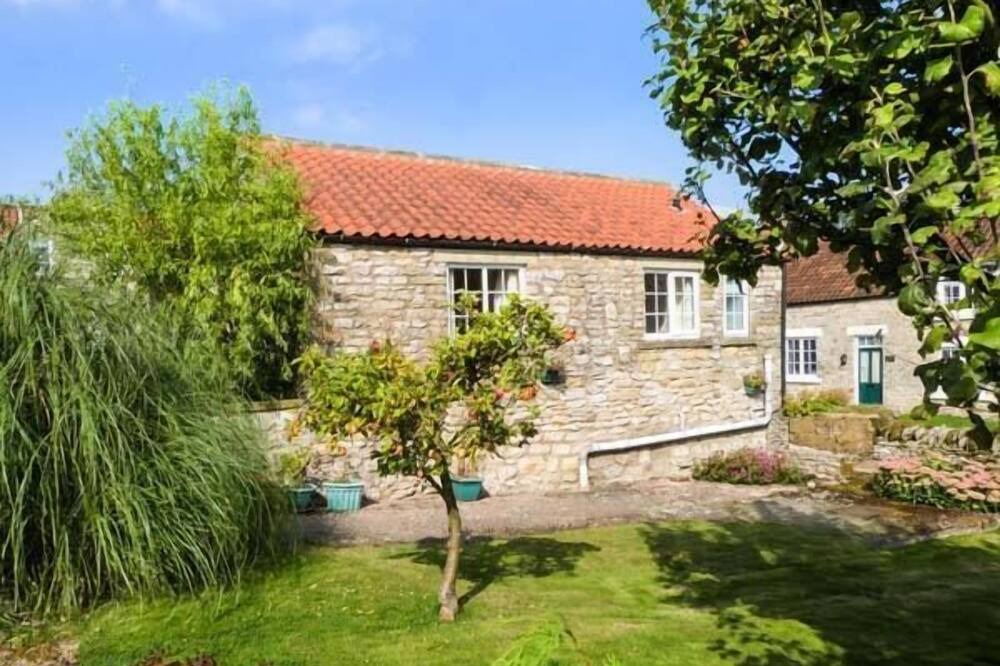 Photo of Outdoor in Easterside