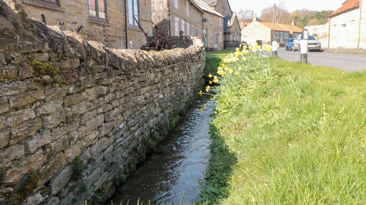 Photo of Others in West Heslerton