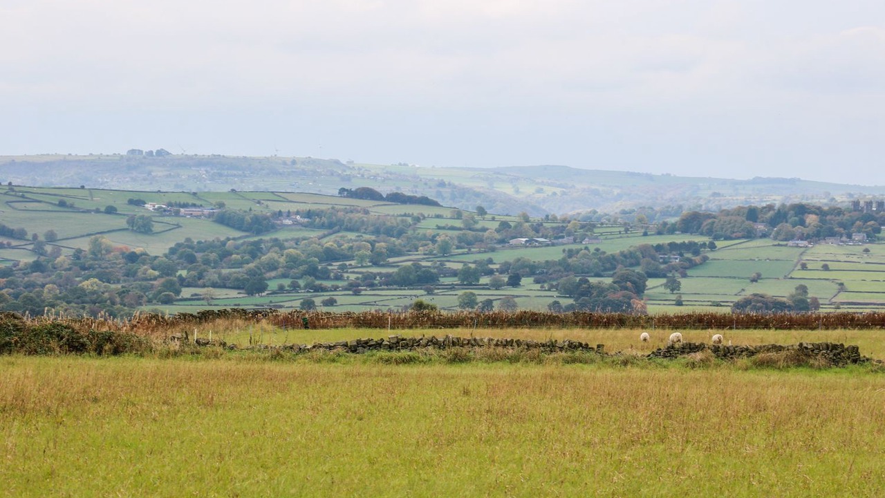 Photo of Others in Holestone Moor
