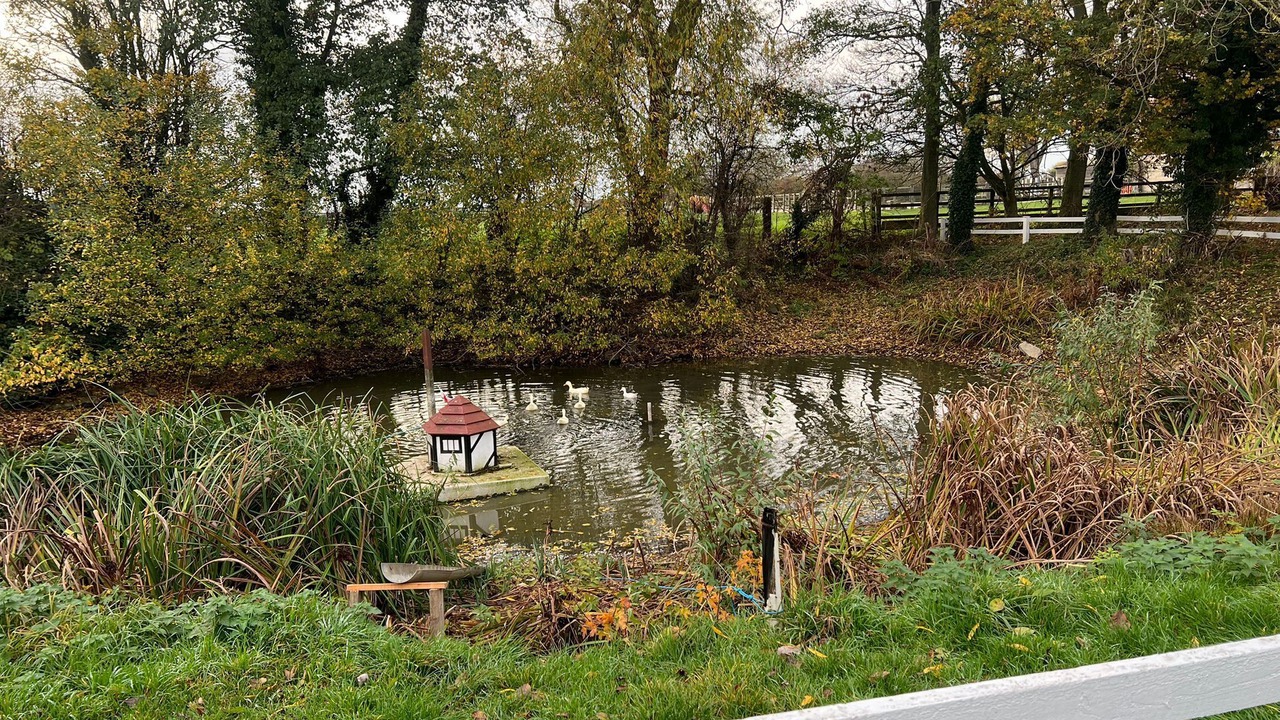 Photo of Outdoor in Sigglesthorne