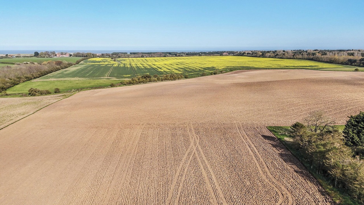 Photo of Others in Mappleton