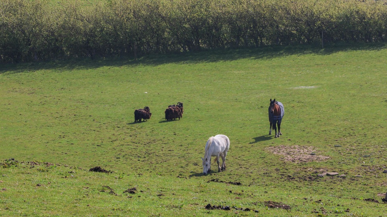 Photo of Others in Great Broughton