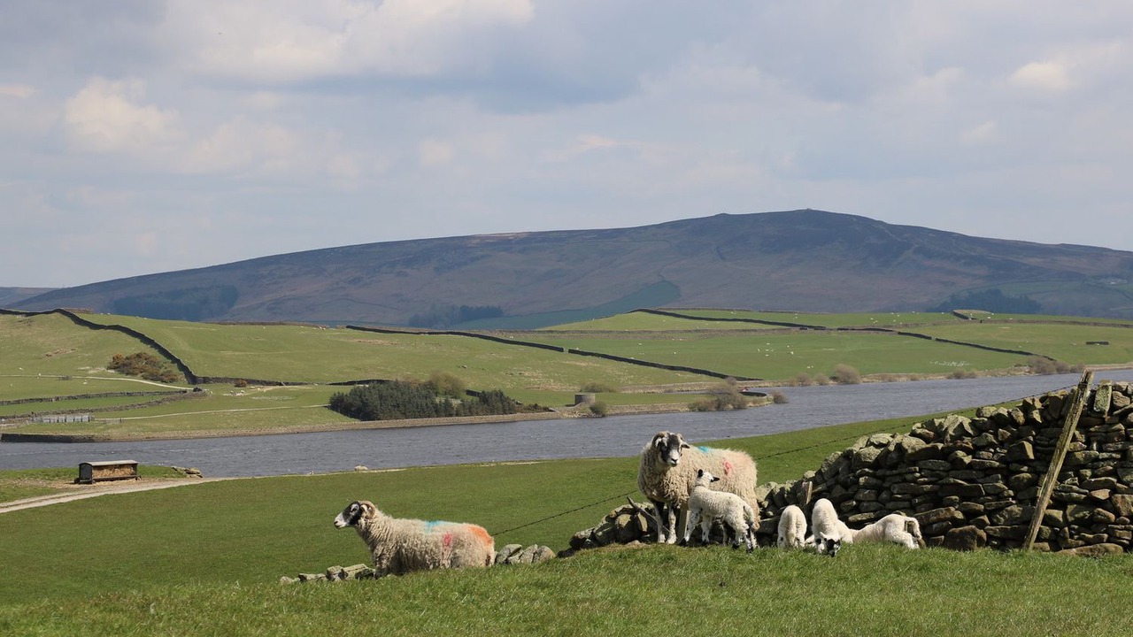 Photo of Others in Ilkley
