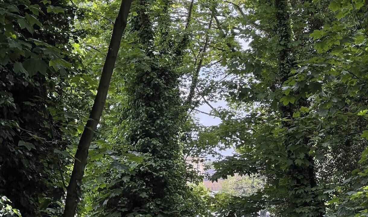 Photo of Others in Richmond-upon-Thames