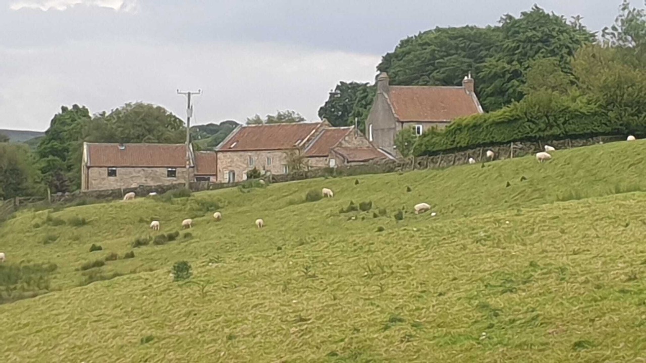 Photo of Outdoor in Goathland