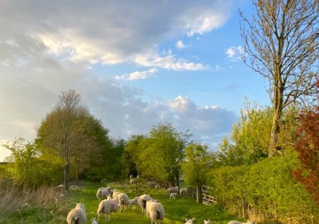 Photo of Outdoor in Goathland