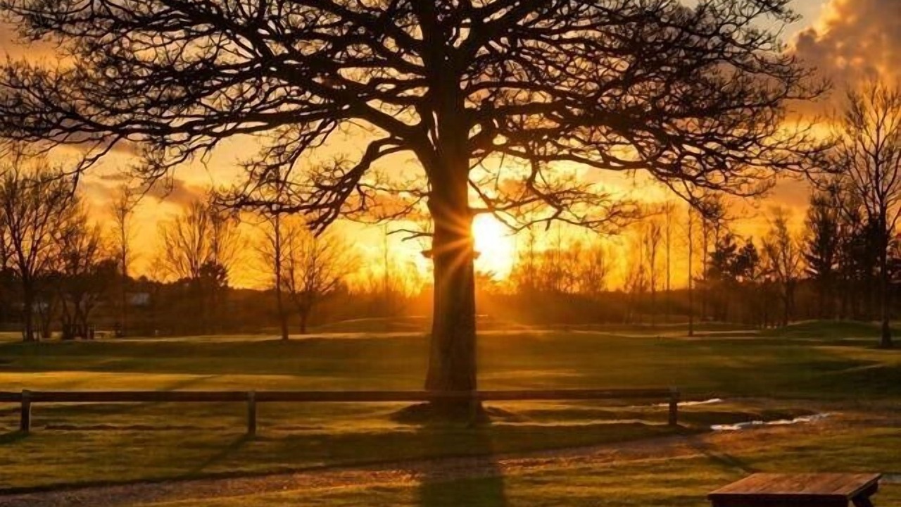 Photo of Outdoor in Chackmore
