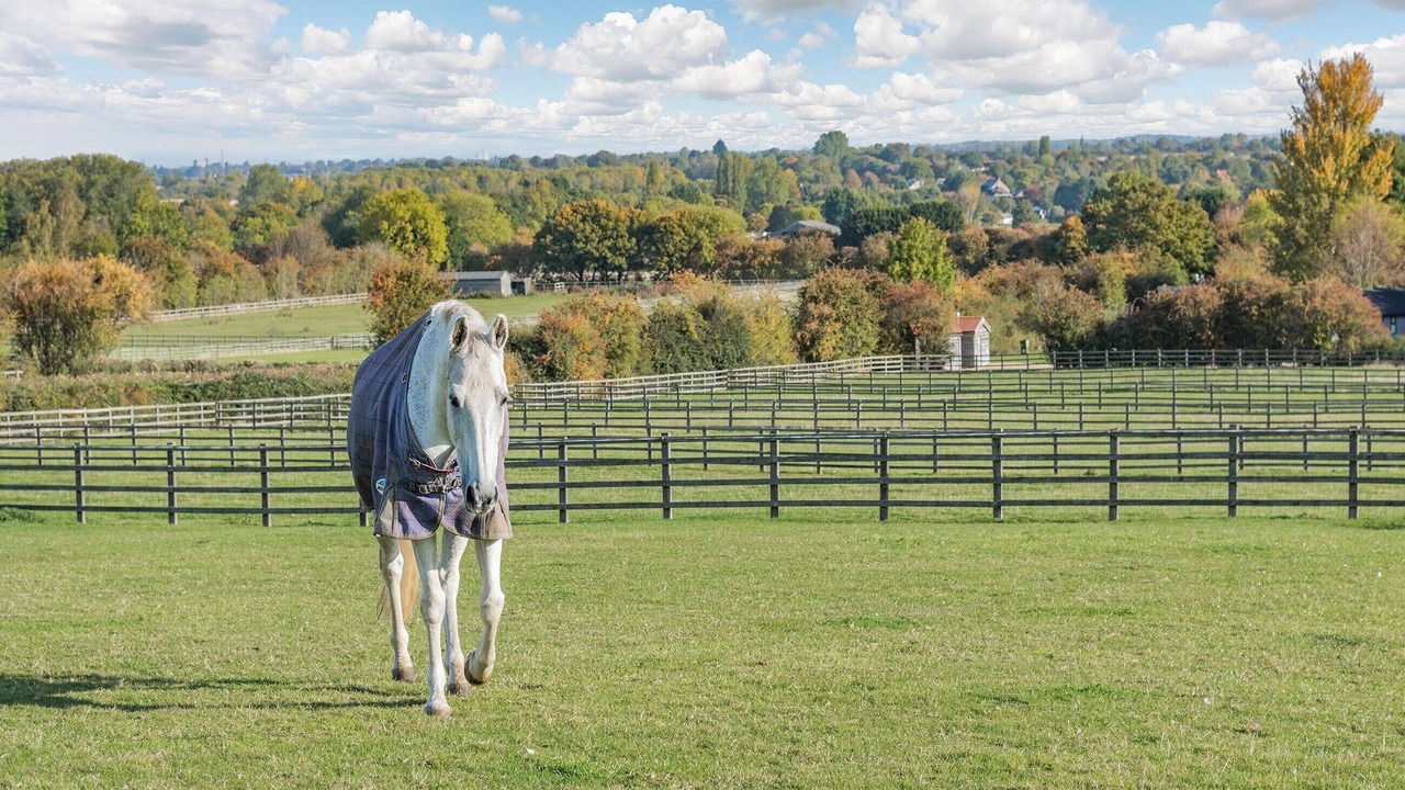 Photo of Outdoor in Stainton le Vale