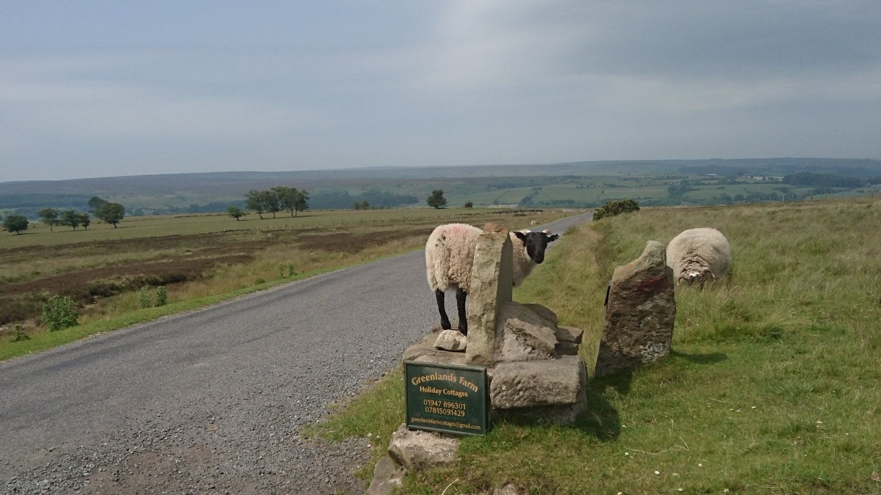 Photo of Others in Beck Hole