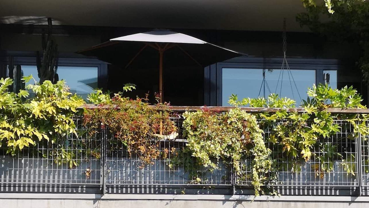 Photo of Outdoor in Hackney