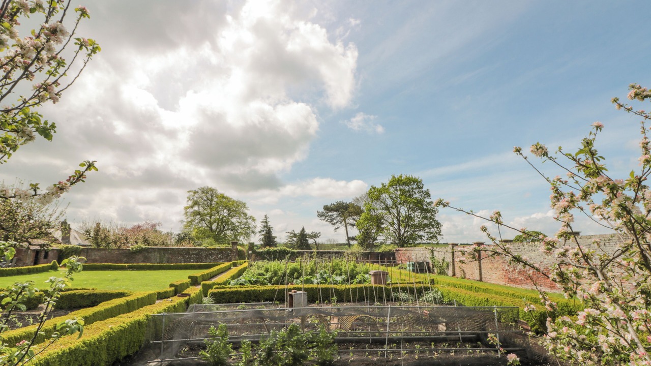Photo of Outdoor in North Dalton