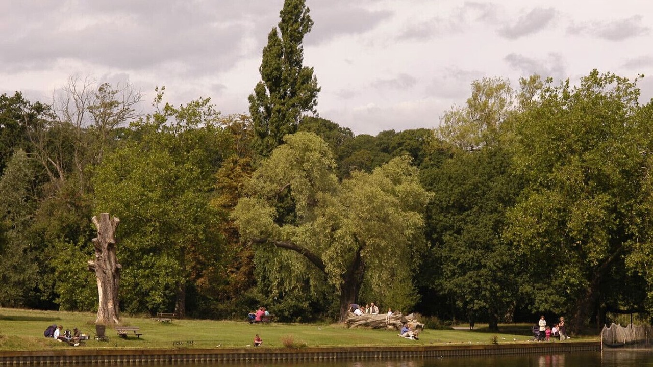 Photo of Others in Hampstead