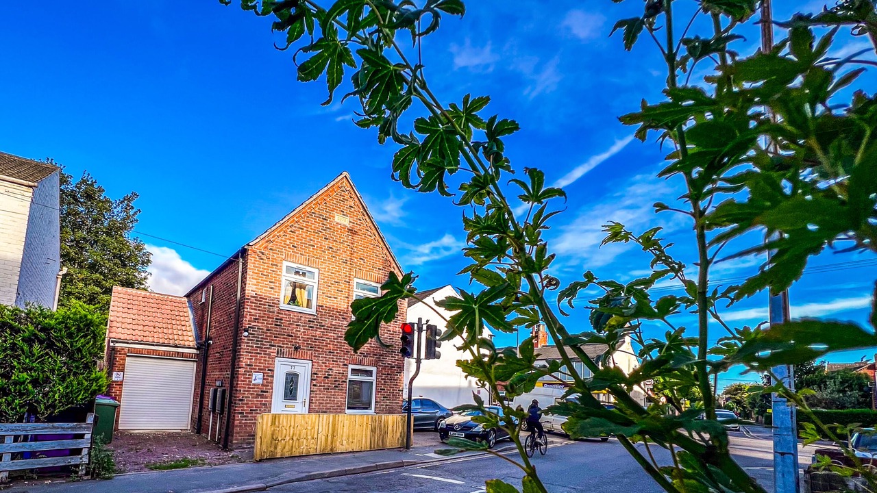 Photo of Outdoor in Boston