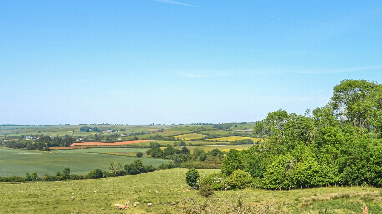 Photo of Others in Horncastle