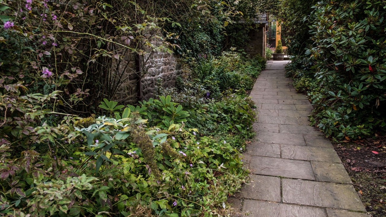 Photo of Outdoor in Knott End-on-Sea