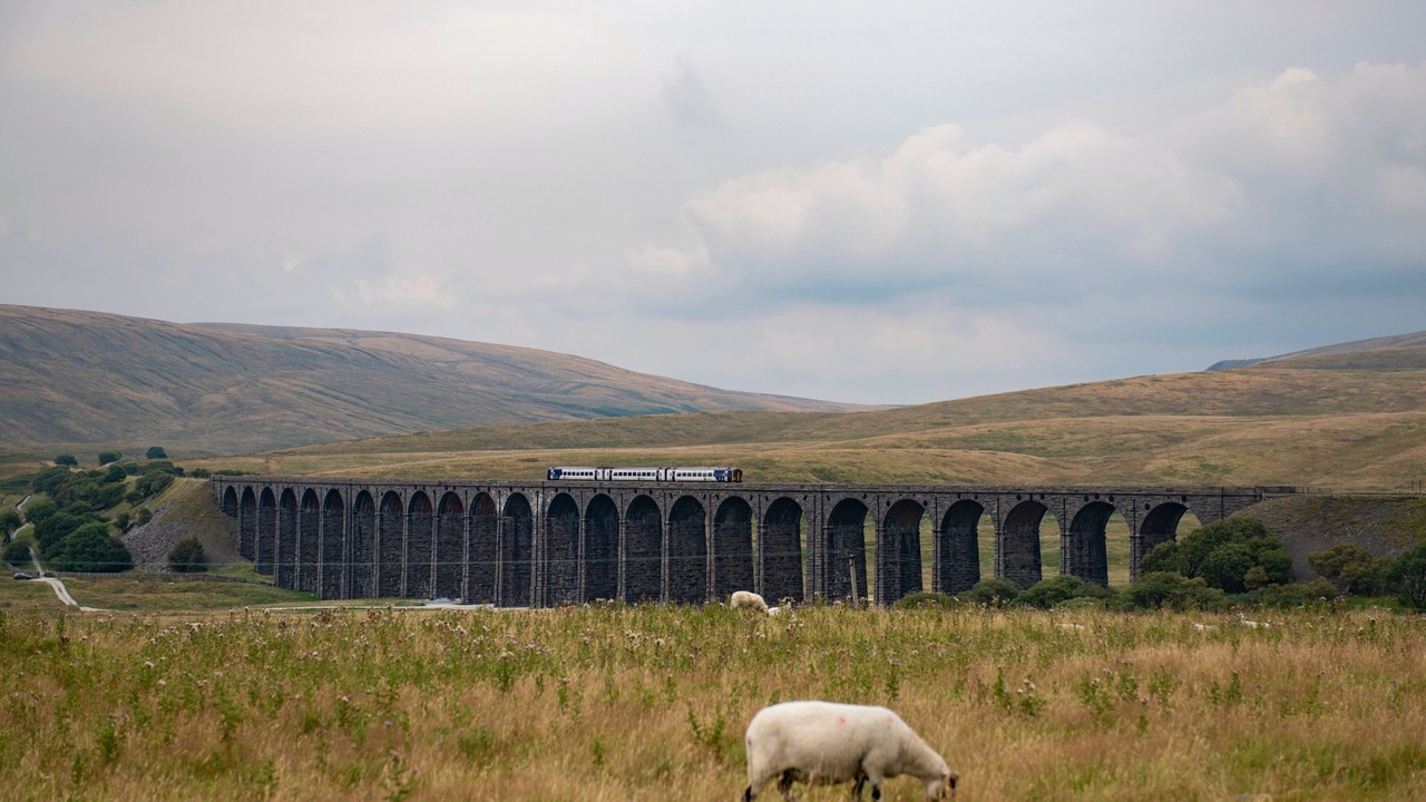 Photo of Others in Hawes
