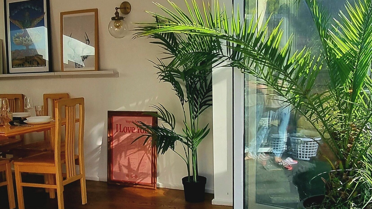 Photo of Outdoor in New Cross