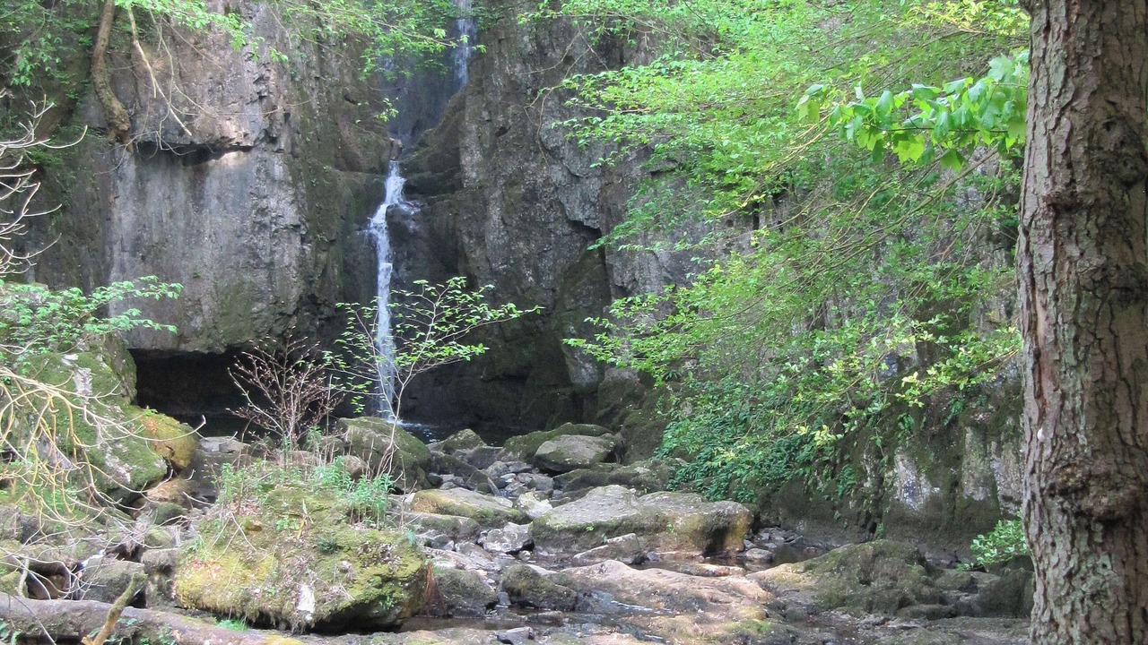 Photo of Others in Gayle