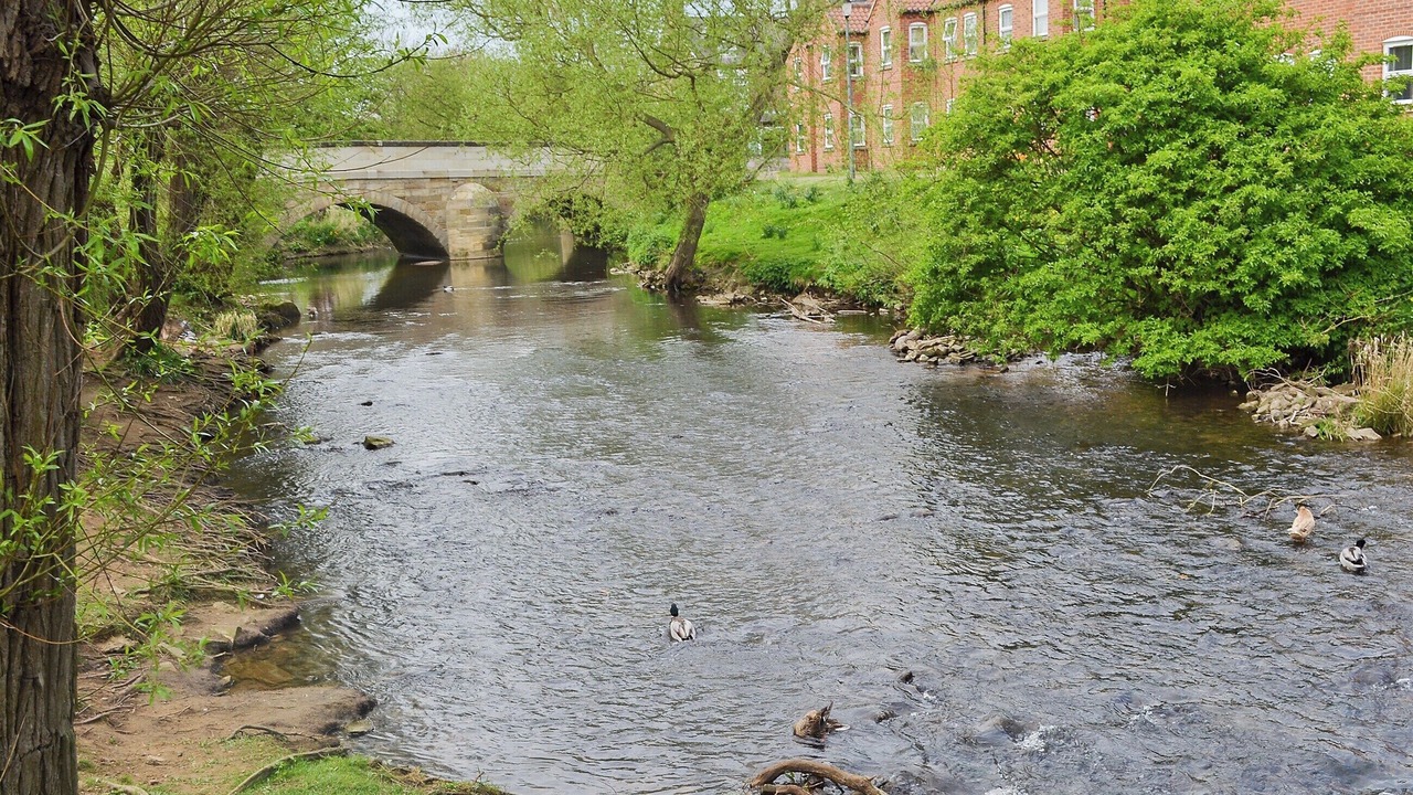 Photo of Others in Thirsk