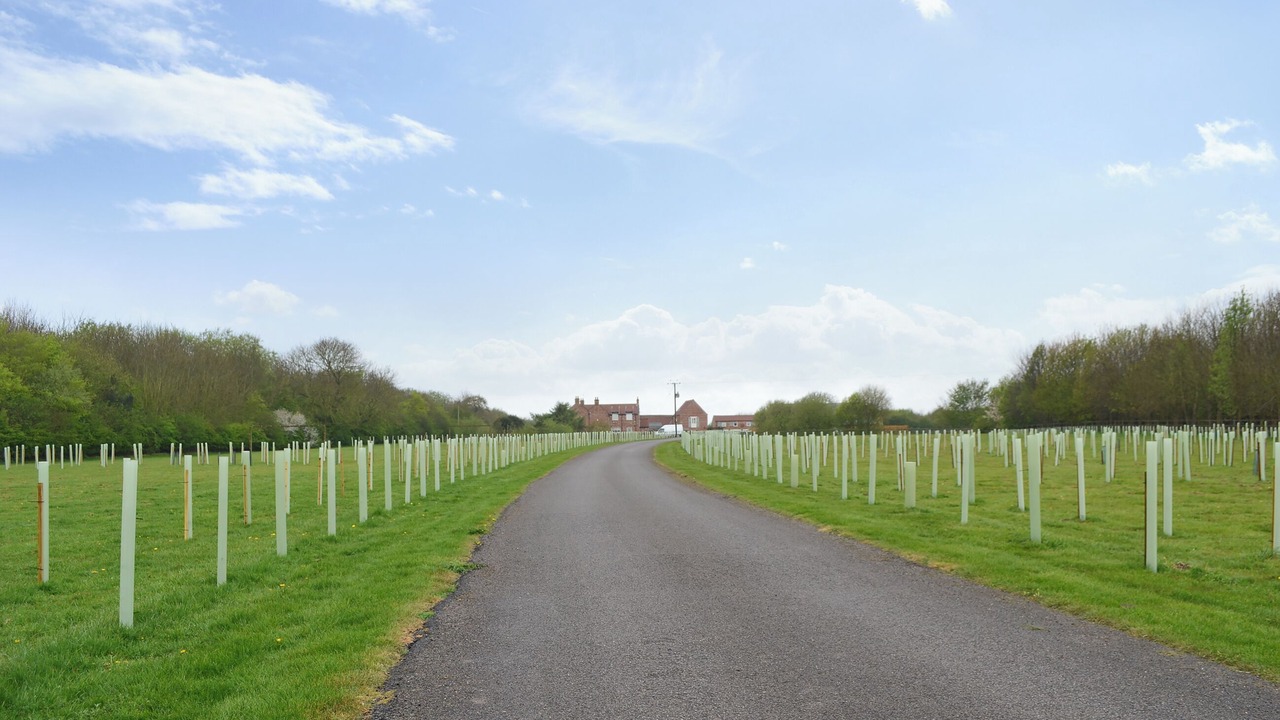 Photo of Others in Kilnwick