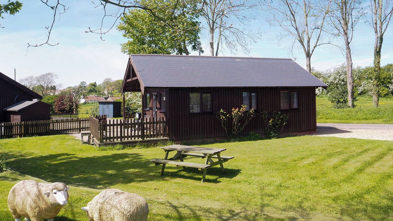 Photo of Others in Nawton