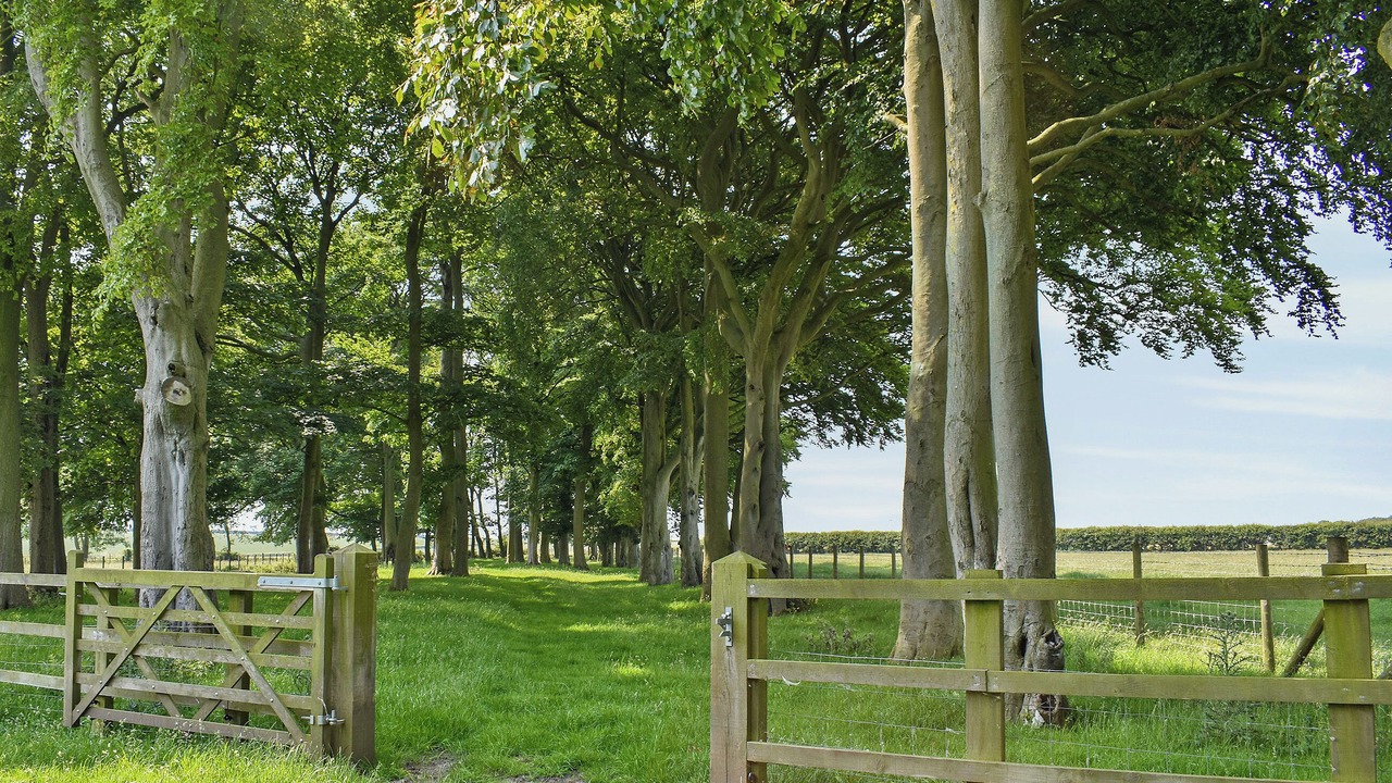 Photo of Others in Helperthorpe
