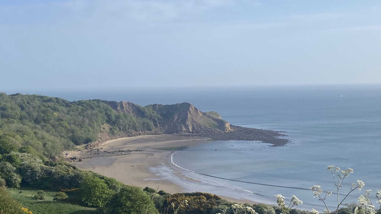 Photo of Others in Cayton Bay