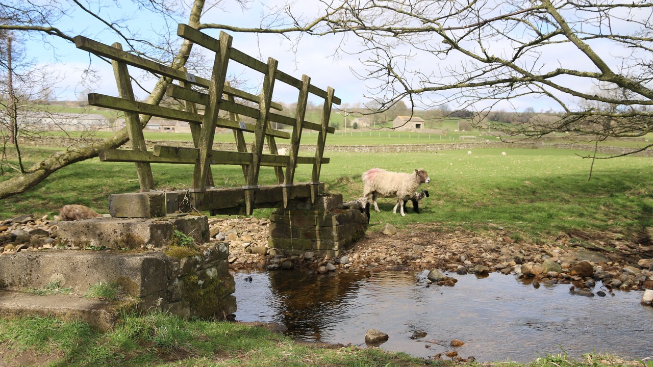 Photo of Outdoor in Leyburn