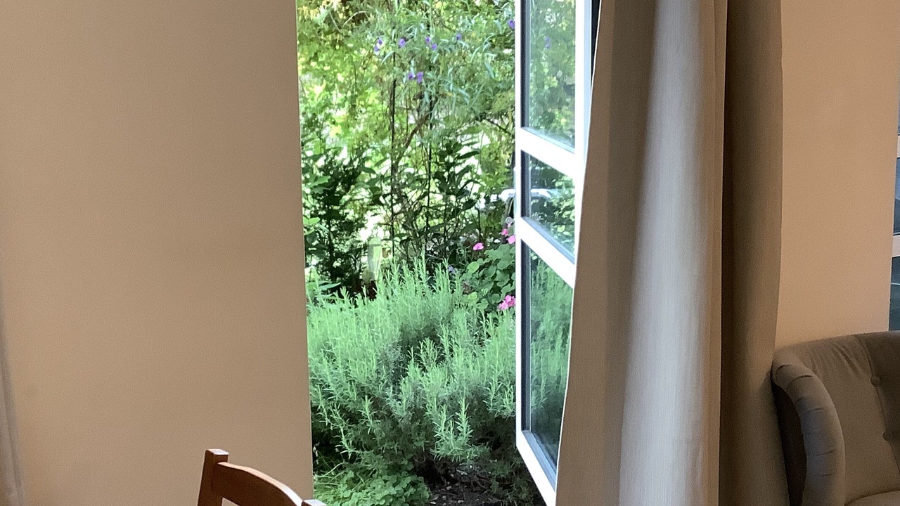 Photo of Outdoor in Cambridge
