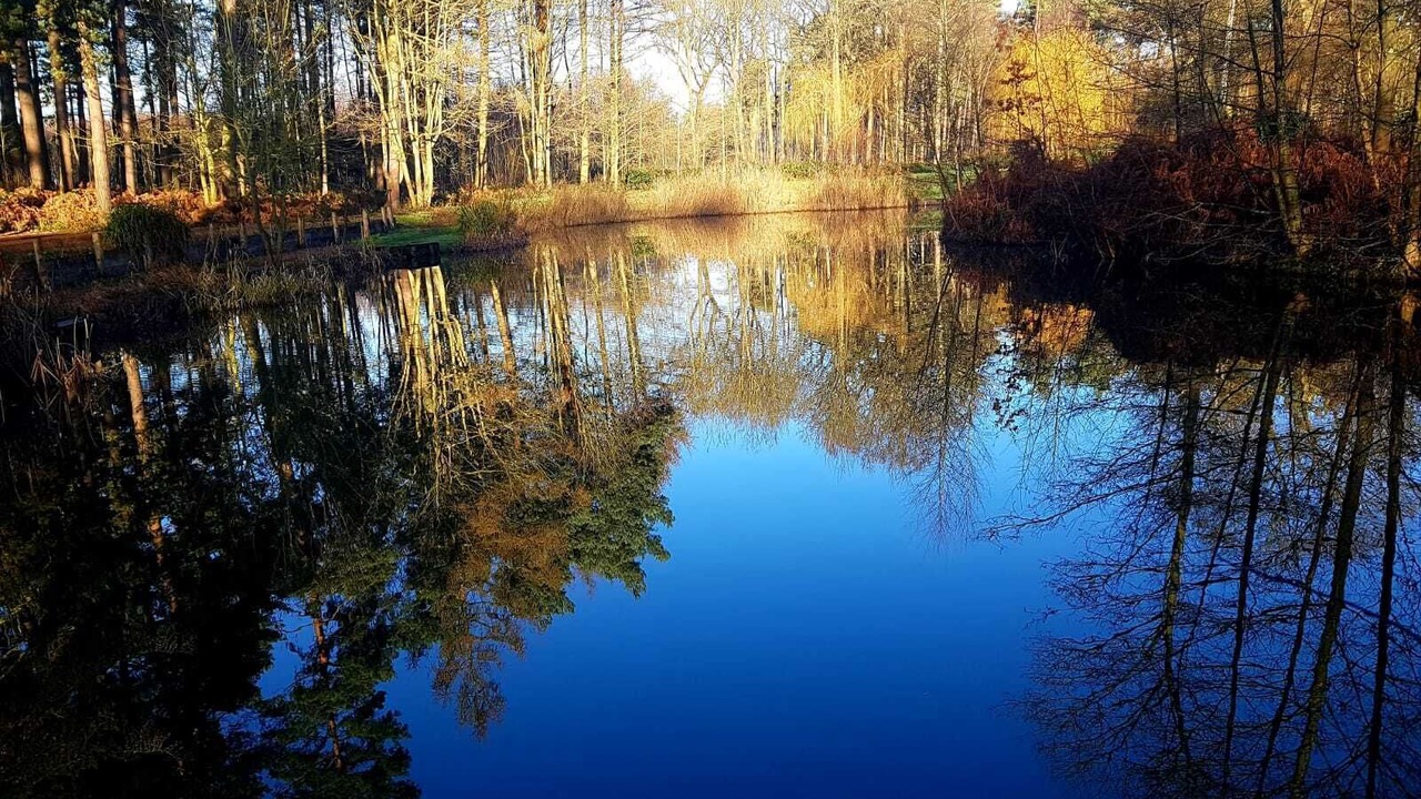 Photo of Outdoor in Acomb