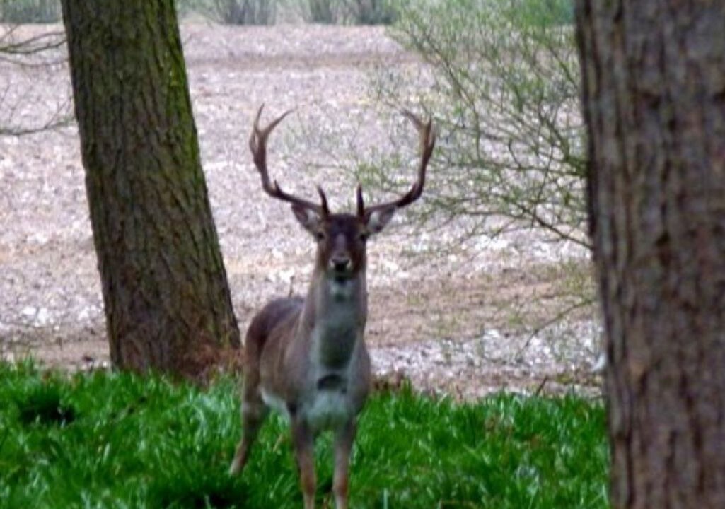 Photo of Others in Acomb