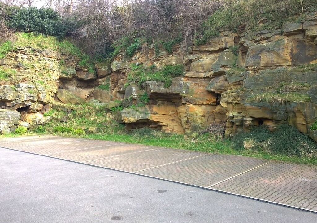 Photo of Others in Sheffield