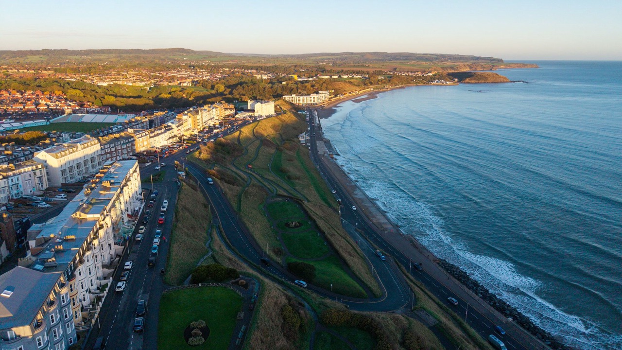 Photo of Others in Scarborough