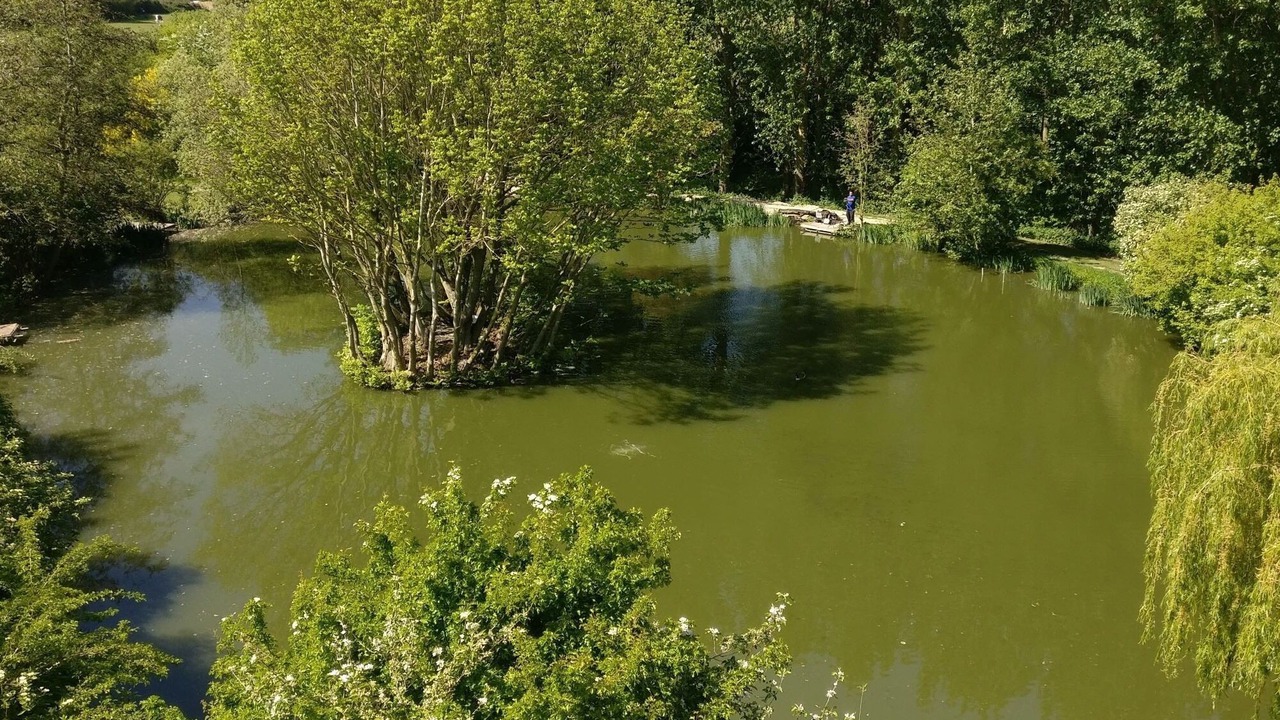 Photo of Outdoor in Henton