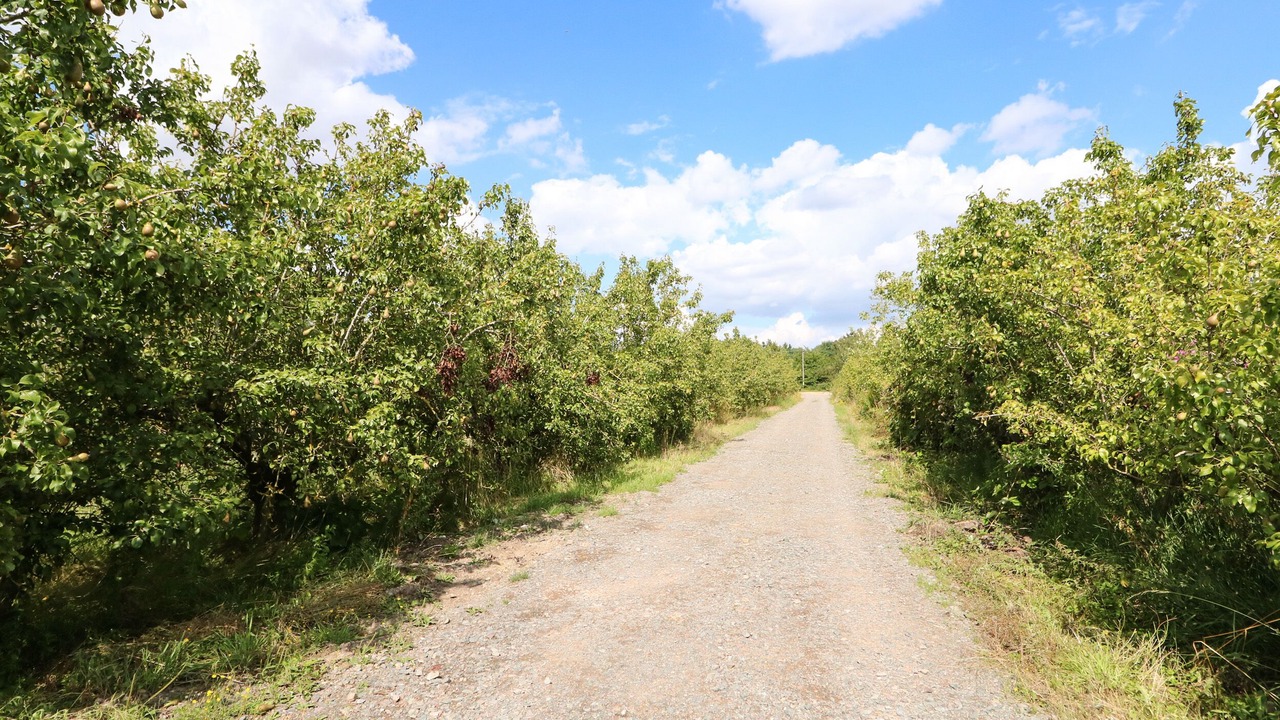 Photo of Outdoor in Wisbech