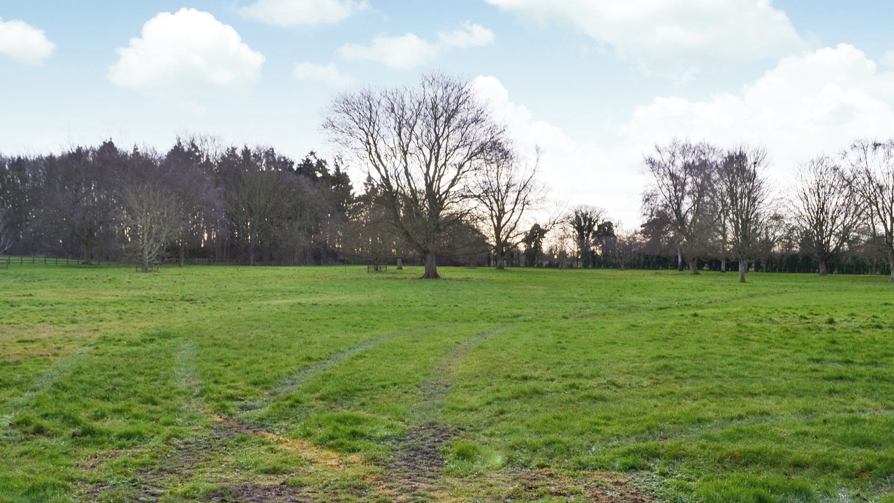 Photo of Others in Alford