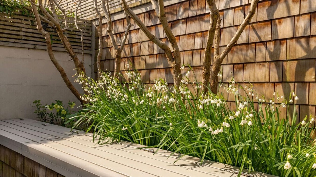 Photo of Outdoor in Battersea
