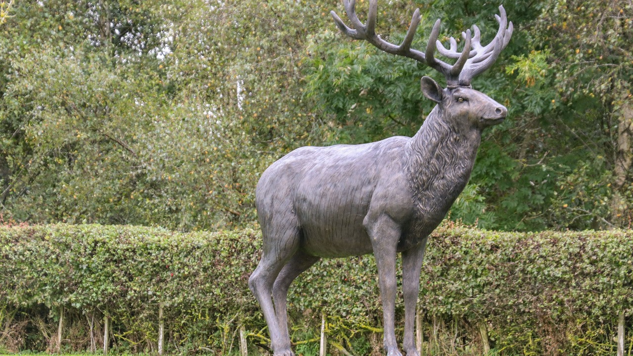 Photo of Outdoor in Skipton